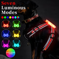 Seven-colour luminous nylon dog lead with USB charging cable for small to large breeds