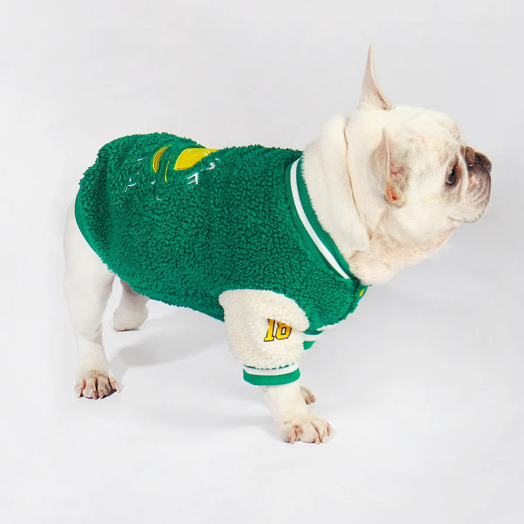 Green fleece-lined cotton winter dog clothing shown on medium to extra large breed