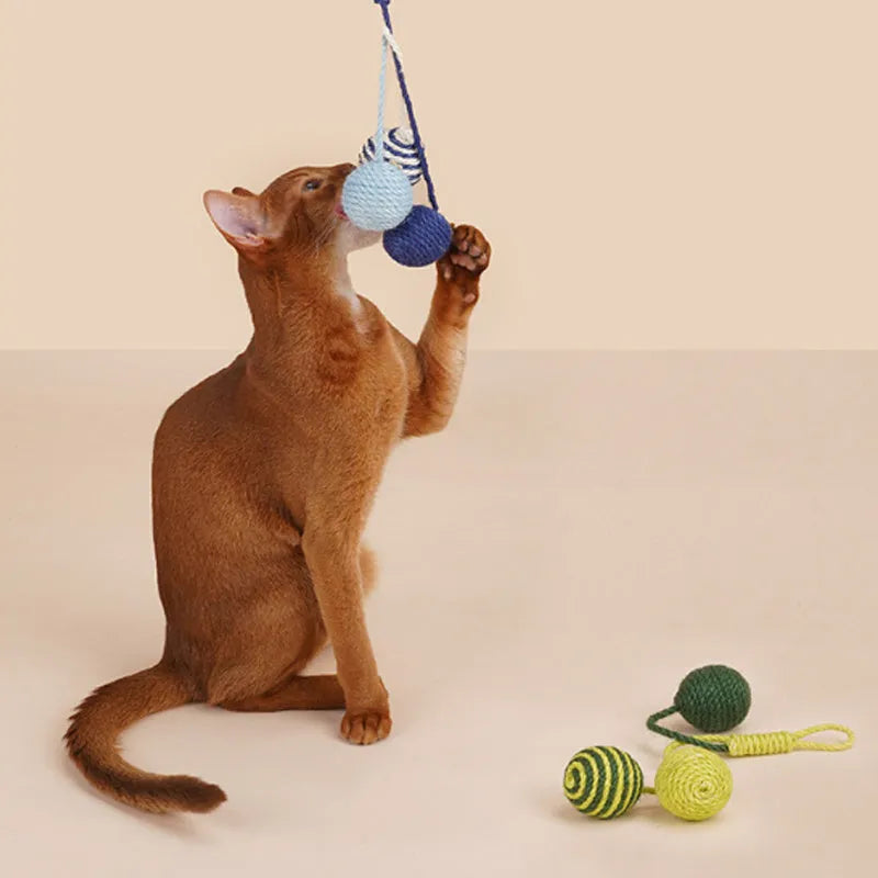 Four-piece cat toy set showing 255mm teaser wand with string, catnip ball, self-play wire, and fabric element in assorted colours