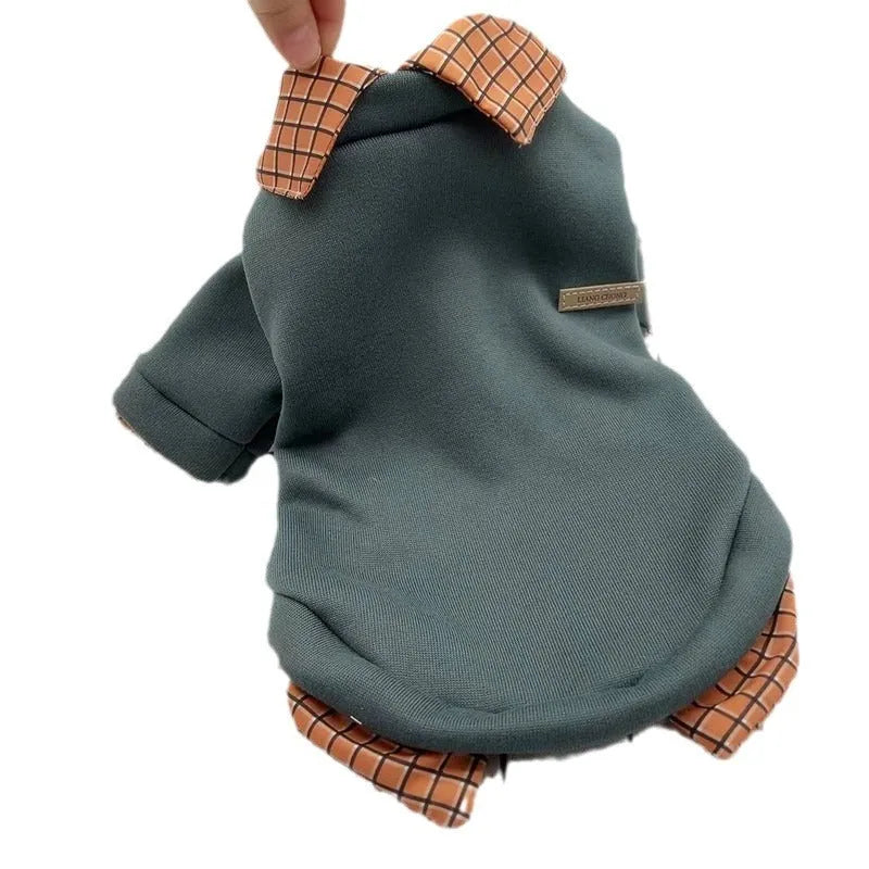 Grey dog wearing fake two-piece velvet sweater with detachable collar hoodie