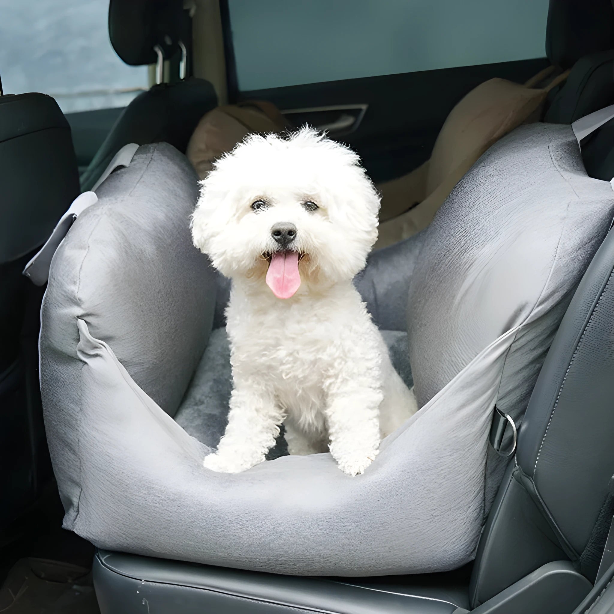 Removable washable cloth pet travel mat in light grey for small dogs and cats under 10kg with adjustable snap buckle