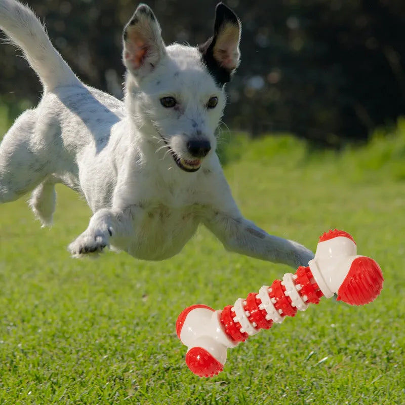 Blue bone-shaped rubber dog toy with a treat holder in the centre, shown next to dog biscuits.