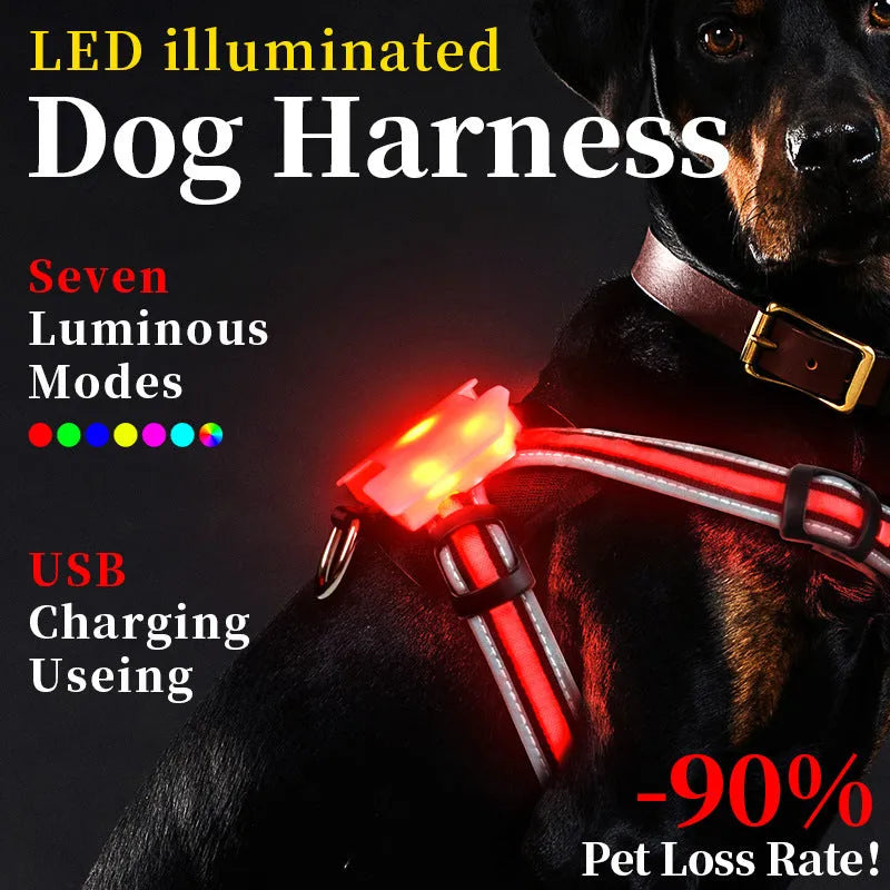 Seven-colour luminous nylon dog lead with USB charging cable for small to large breeds