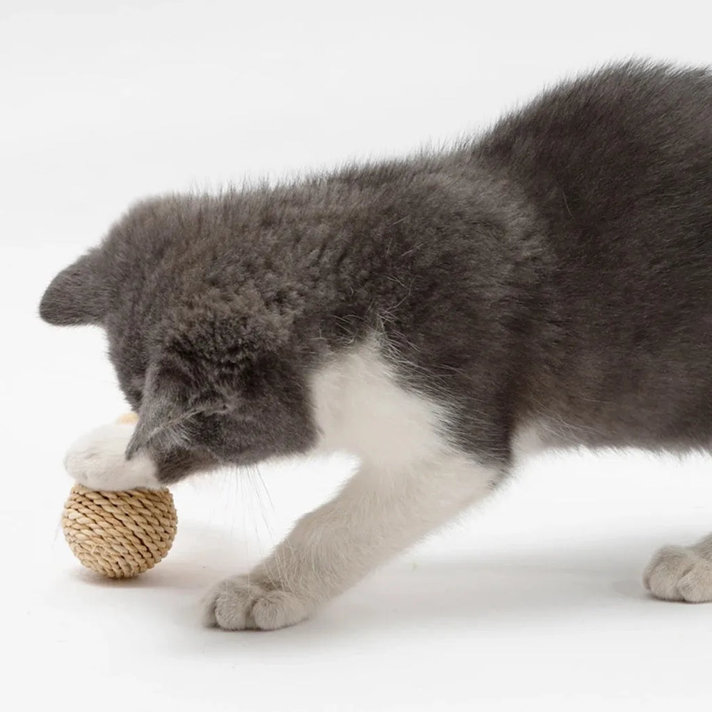 Two cat toys: hollow rattan ball and faux feather ball with bell on wooden floor