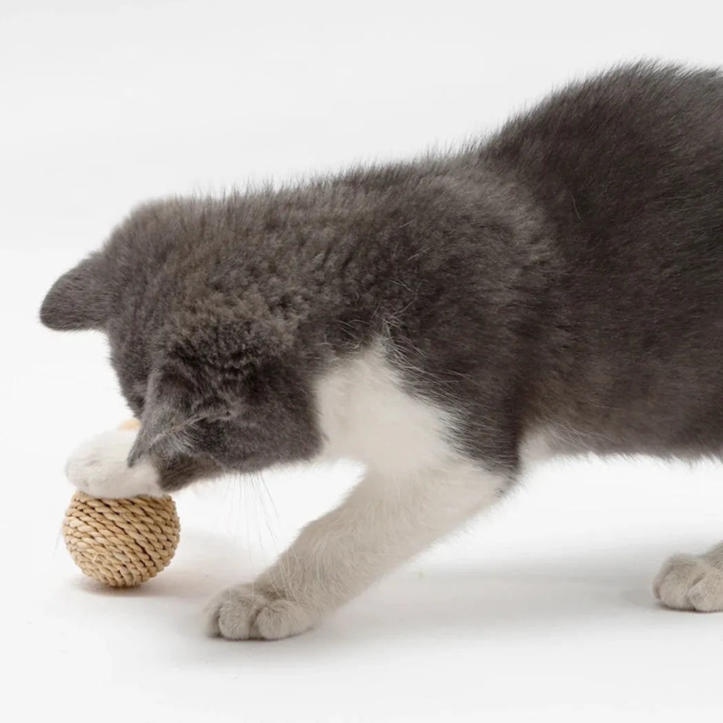 Two cat toys: hollow rattan ball and faux feather ball with bell on wooden floor