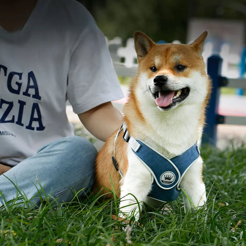 Adjustable dog harness with reflective mesh in multiple colours, showing metal ring and leash attachment