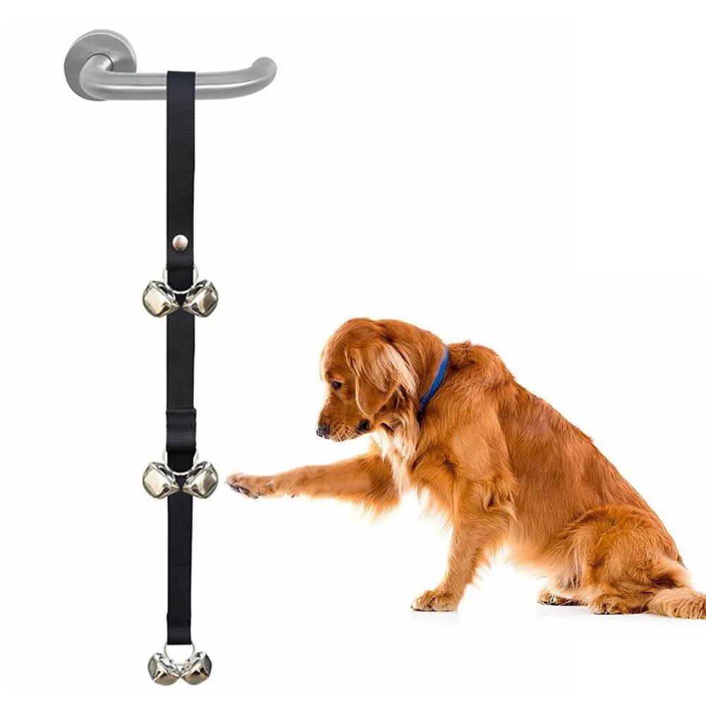 Dog training doorbell with several silver metal bells hanging from an adjustable nylon leash.