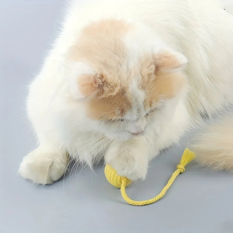 Cat toy ball with rope and built-in bell in multiple colours for kitten play