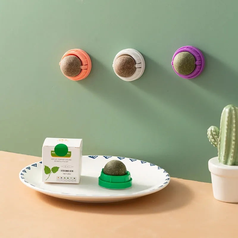 Colourful plastic cat toy with textured teeth cleaning surface in avocado bug baby fruit flavour