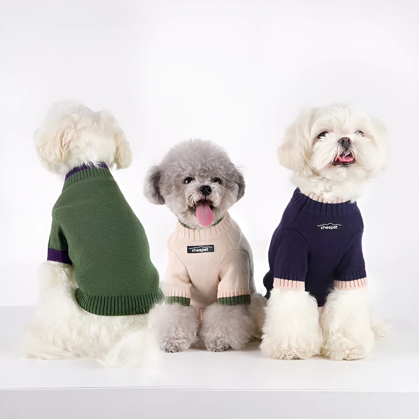 British style wool pet sweater with two-leg design in crown blue colour on a dog
