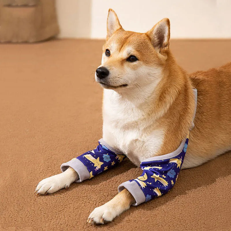 Adjustable dog knee protector with extra-thick elbow padding and coordinating scarf in blue colour