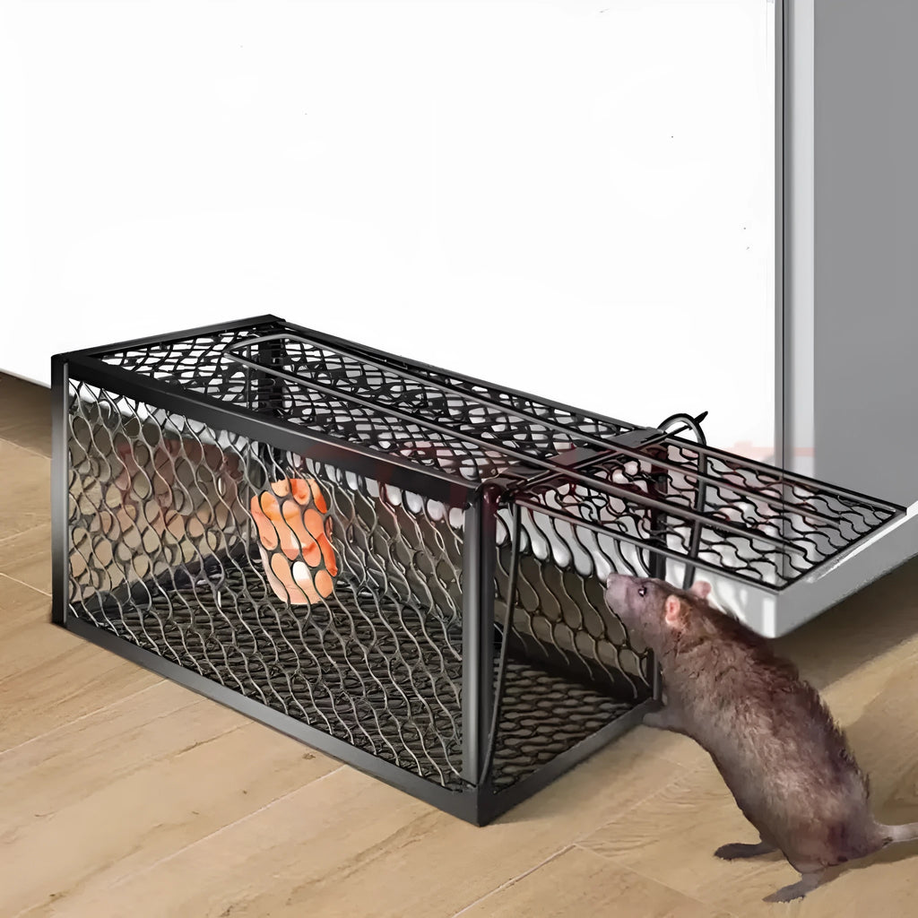 Automatic mouse trap cage for indoor rodent control in three sizes