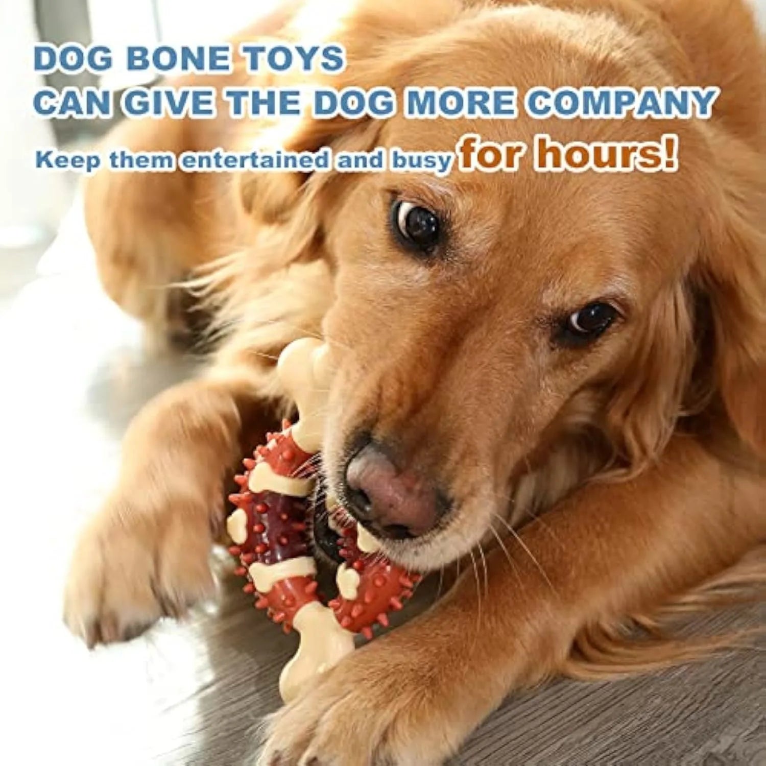 Bone-shaped natural rubber dog molar chew toy for teeth grinding and anxiety relief in two size options