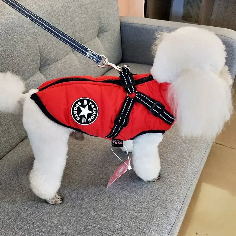 A red waterproof dog coat with an integrated harness on a Labrador retriever.