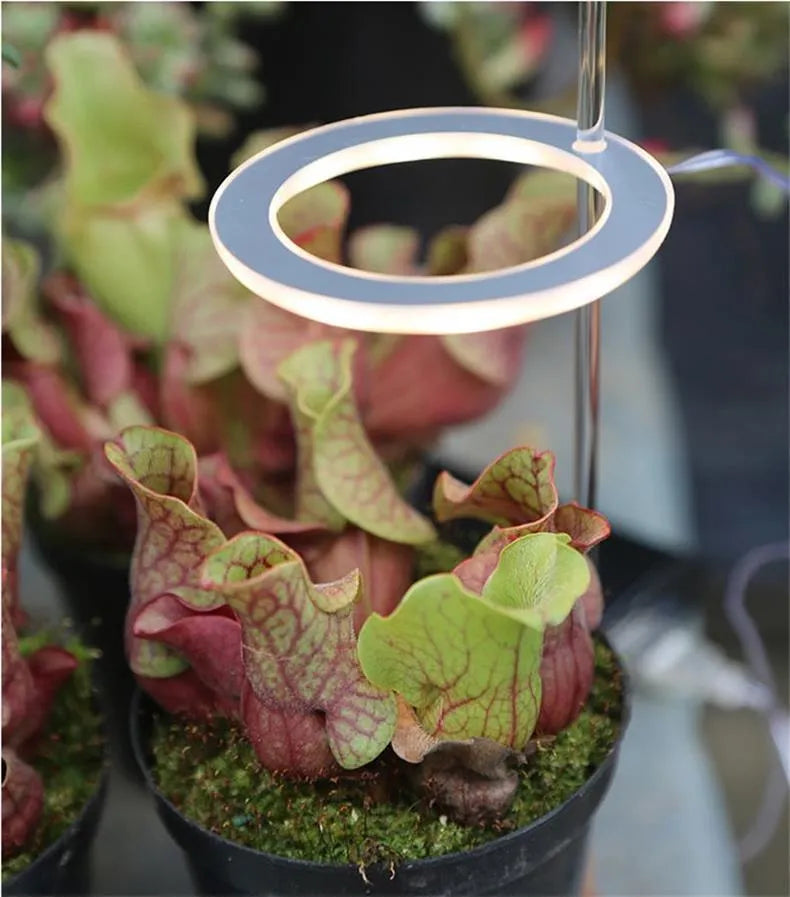 USB powered LED plant grow light with full spectrum LEDs and acrylic mounting stick.