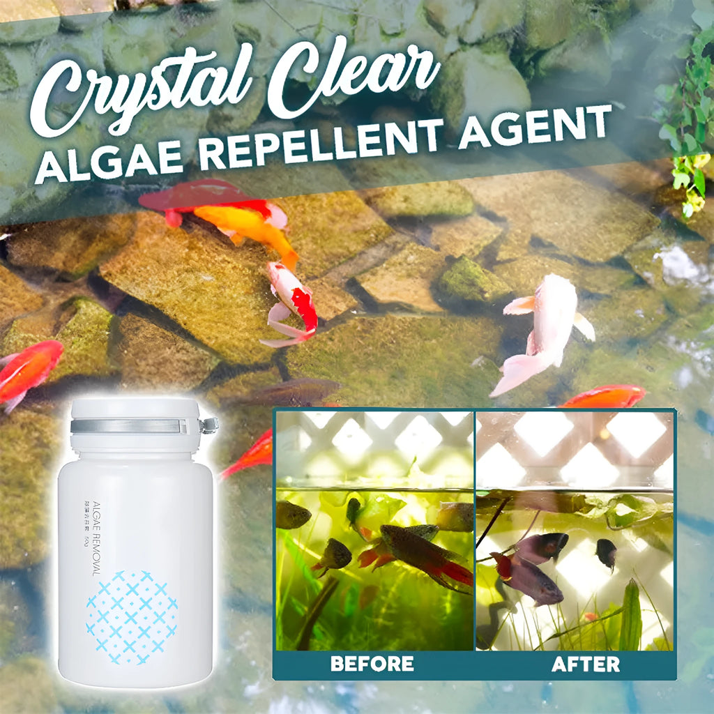50g swimming pool algaecide container for algae removal and water purification
