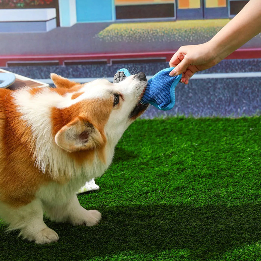Blue teddy dog toy shaped like a bone with a corn fleece lining and integrated sound module