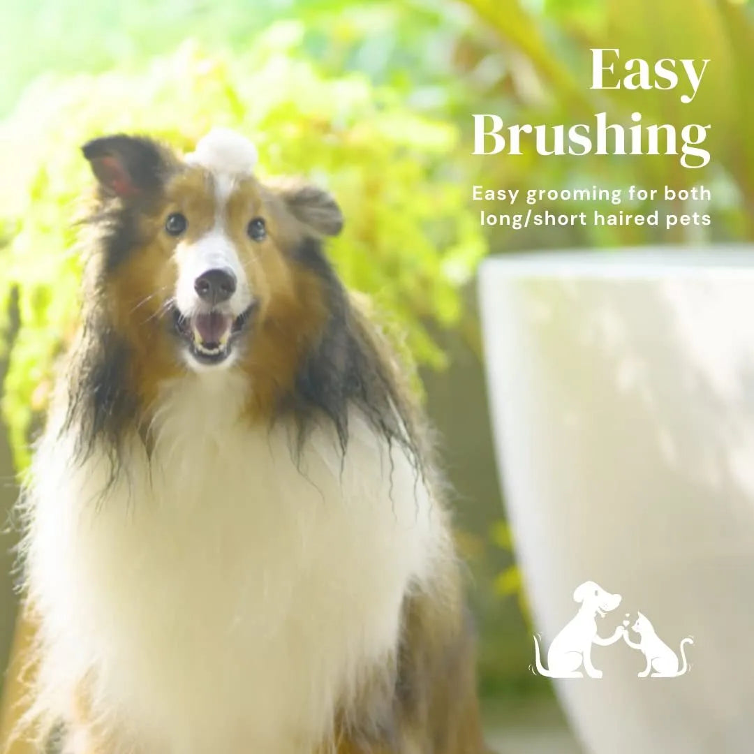 Blue self-cleaning slicker brush for dog and cat grooming with stainless steel pins