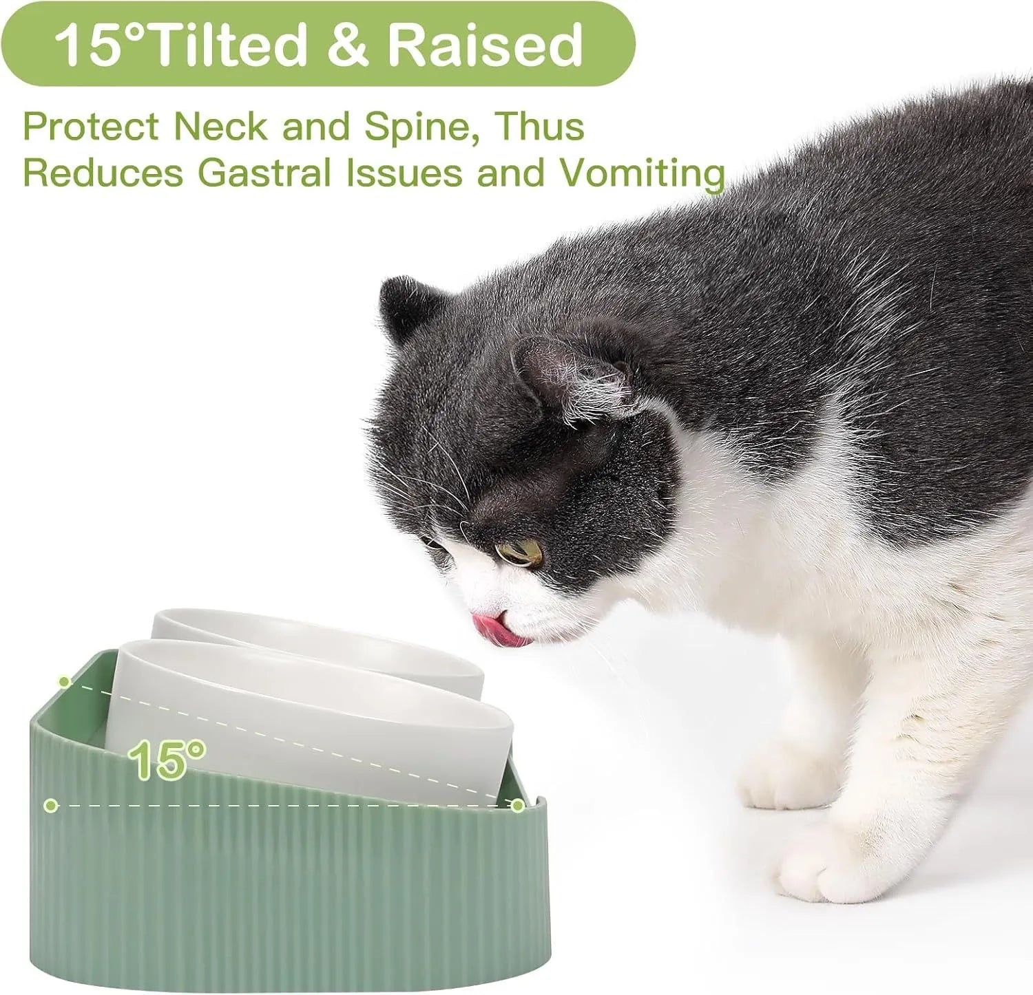 Green and white ceramic elevated cat bowls on a tilted stand for food and water.