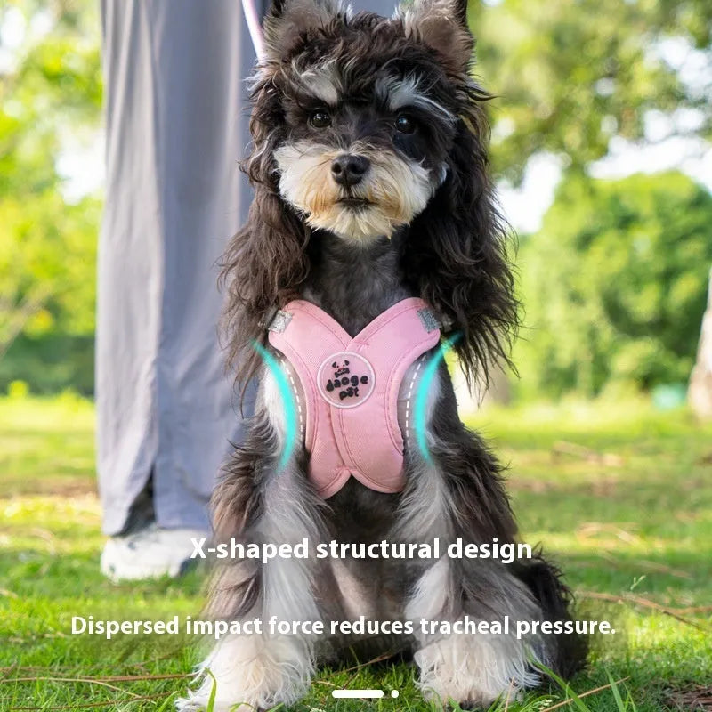 Adjustable polyester dog vest and hand holding rope set in blue, green, pink or yellow colours