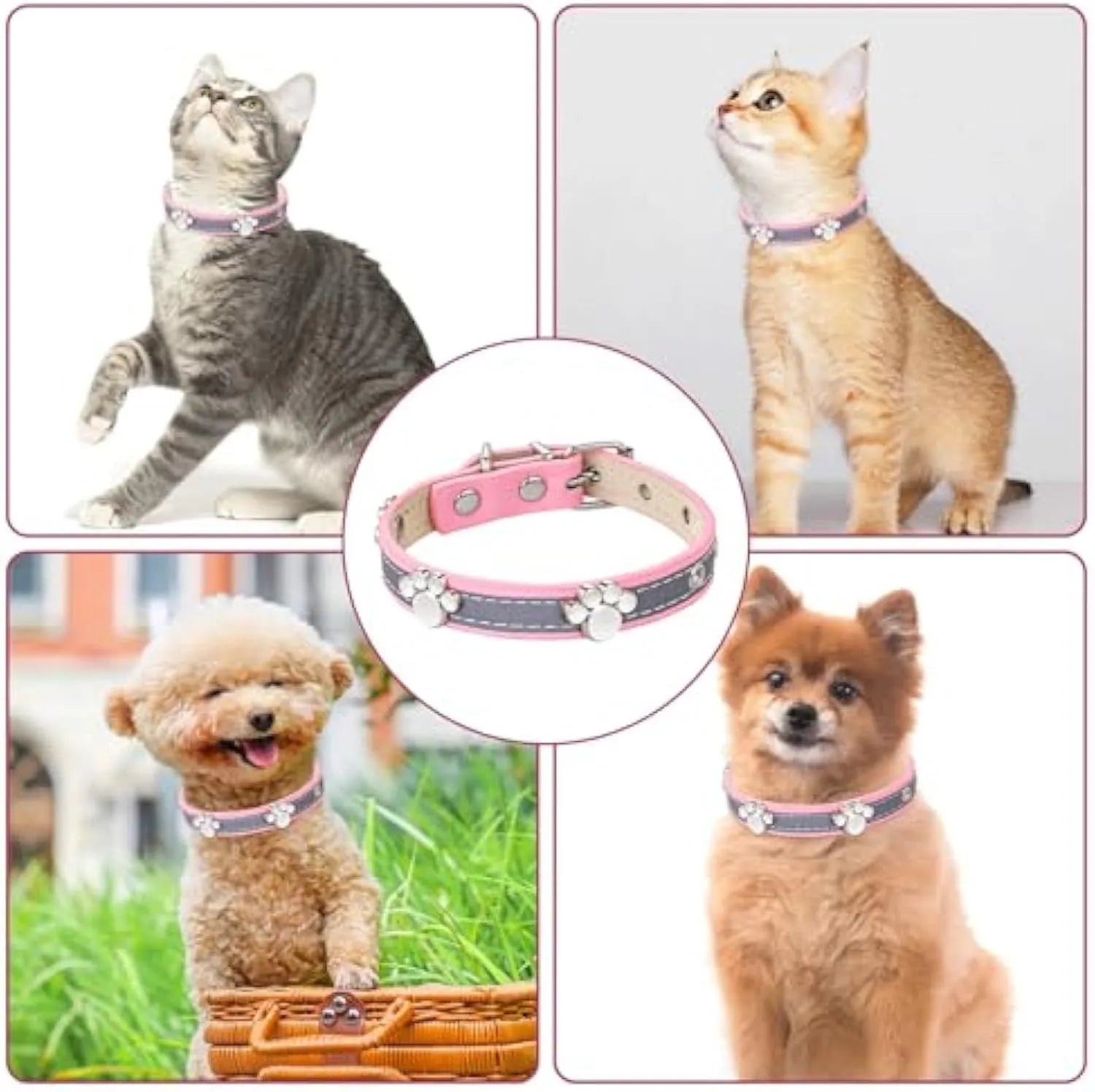 Reflective adjustable PU leather dog collar with a metal paw-shaped rivet on a size chart.