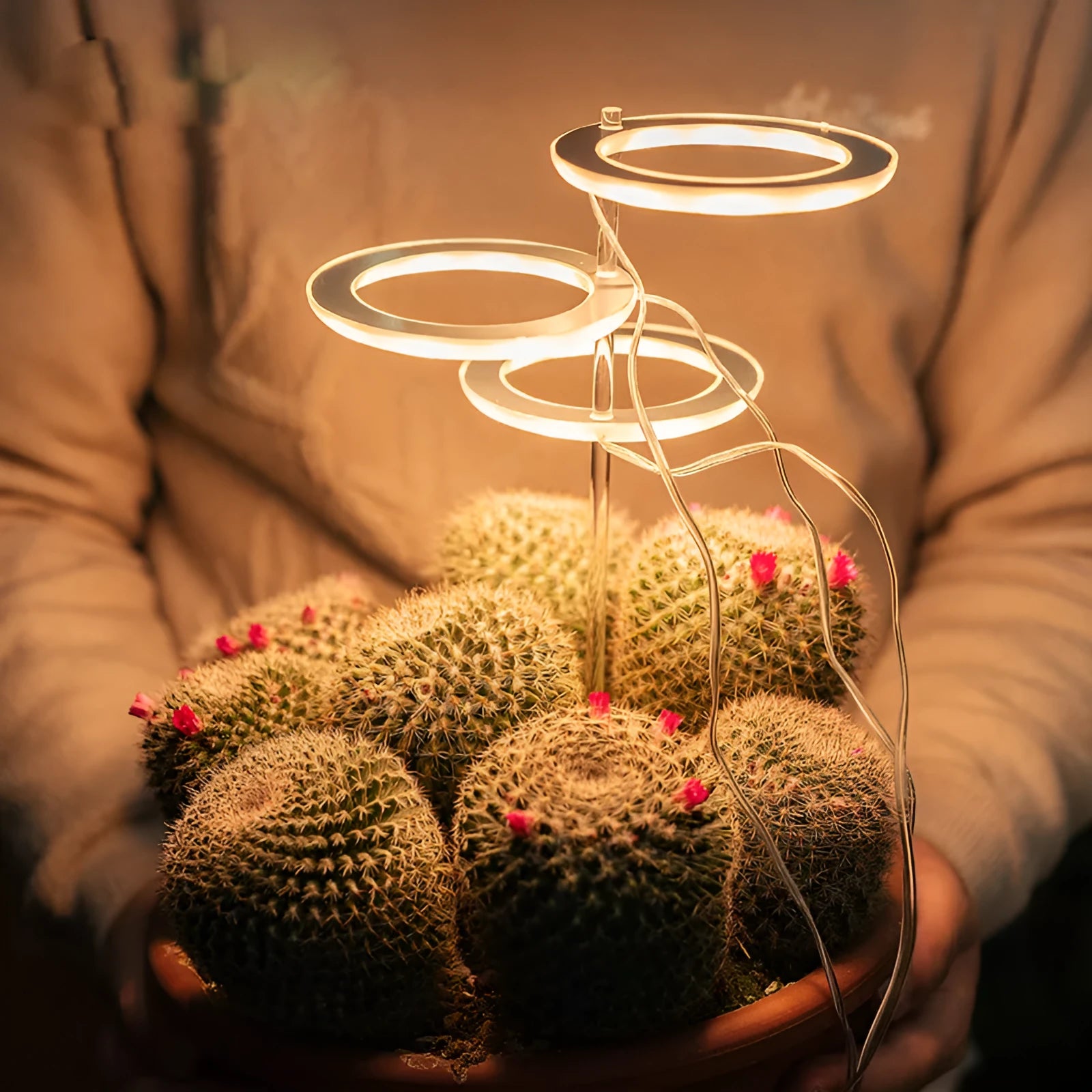 USB powered LED plant grow light with full spectrum LEDs and acrylic mounting stick.