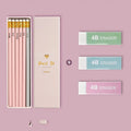 Mixed colour HB pencil pack with 10 pieces in display box including rubbing rod for quality testing