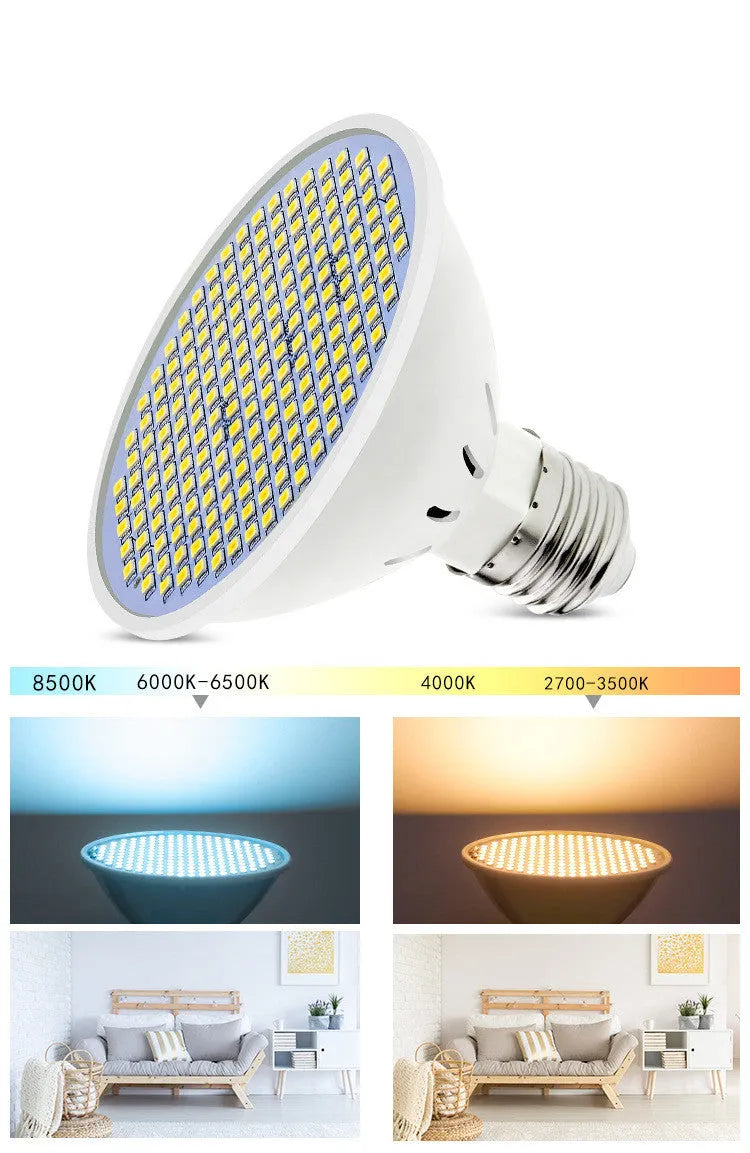 E27 LED lamp cup bulb showing warm white and cool white options with different LED bead counts
