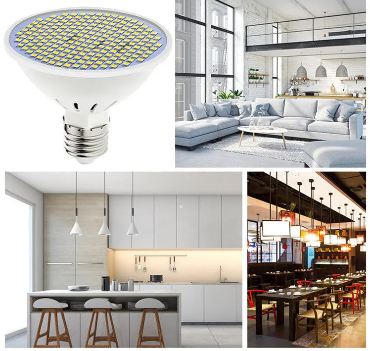 E27 LED lamp cup bulb showing warm white and cool white options with different LED bead counts