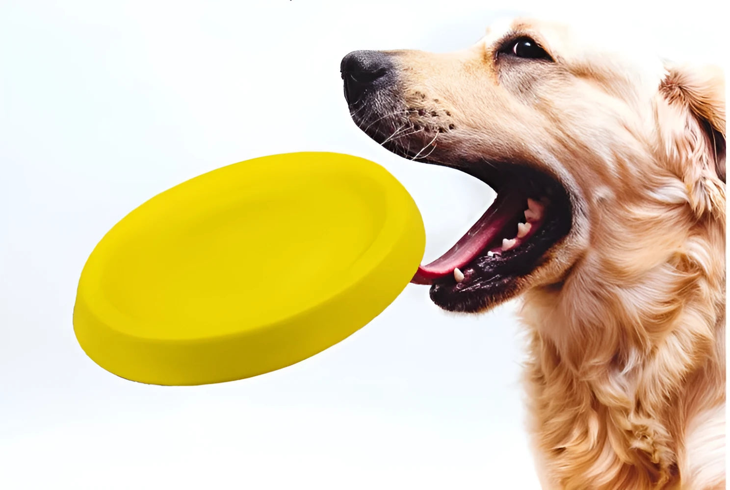 Yellow EVA dog throwing toy for training and bonding activities