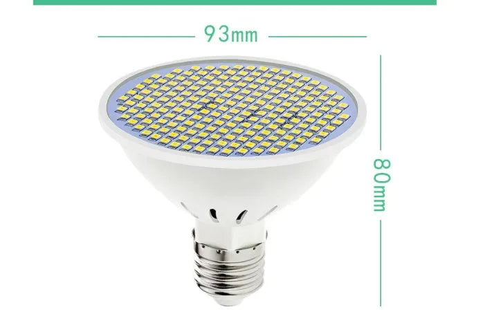 E27 LED lamp cup bulb showing warm white and cool white options with different LED bead counts