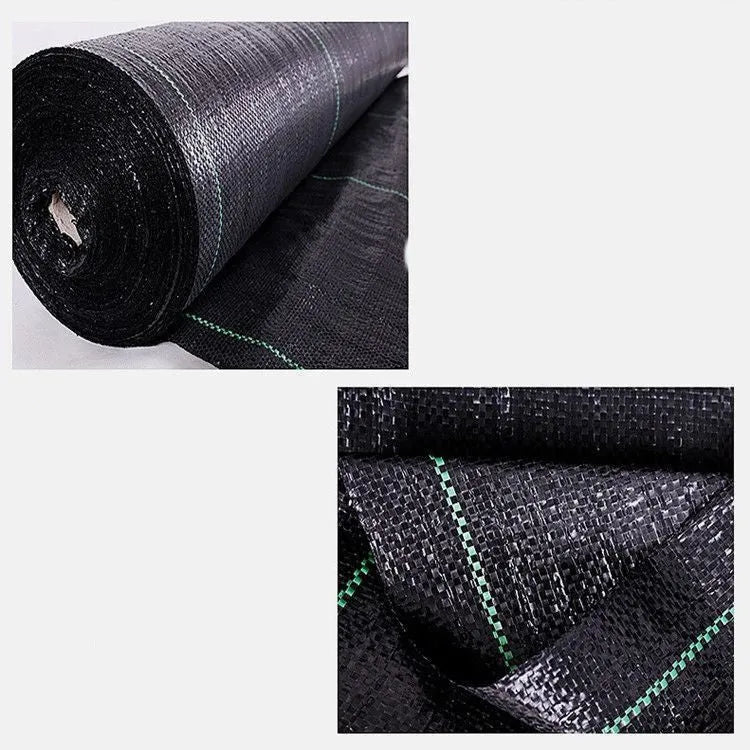 Black plastic weed-proof cloth laid on farmland soil for weed suppression