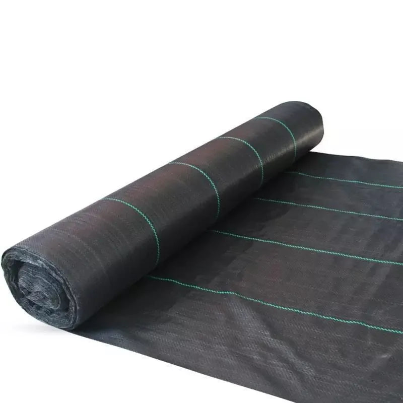 Black plastic weed-proof cloth laid on farmland soil for weed suppression