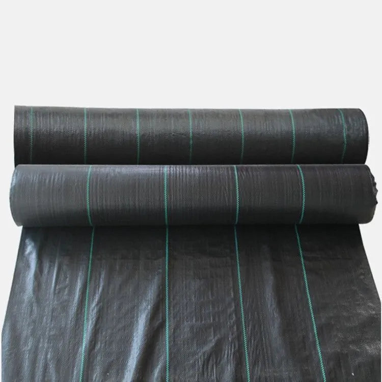 Black plastic weed-proof cloth laid on farmland soil for weed suppression