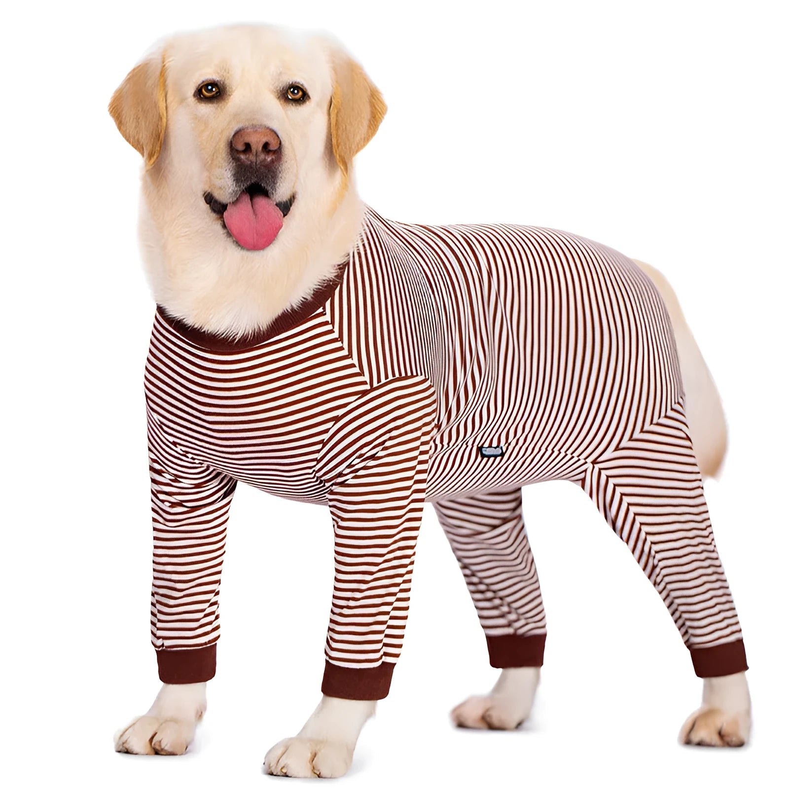 Four-legged striped dog shirt on medium breed dog showing sky blue colour and full leg coverage