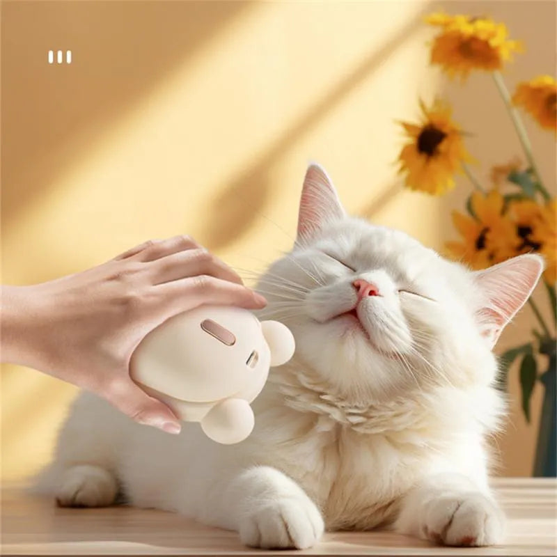 Rechargeable pet grooming brush with spray function, removable silicone comb, and soft rubber massage teeth