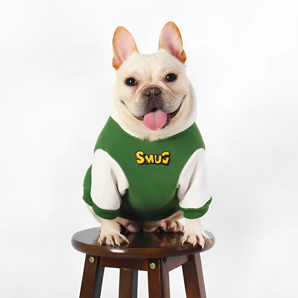 Green cotton dog jumper for large breeds in sizes L to 4XL for autumn and winter wear