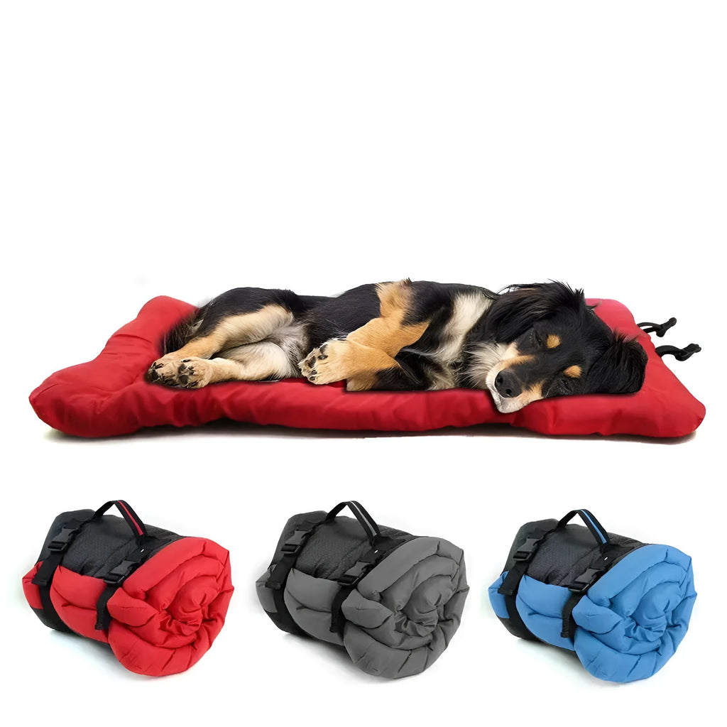Blue foldable waterproof dog bed shown unfolded and folded, with nylon buckles and dotted anti-slip bottom.