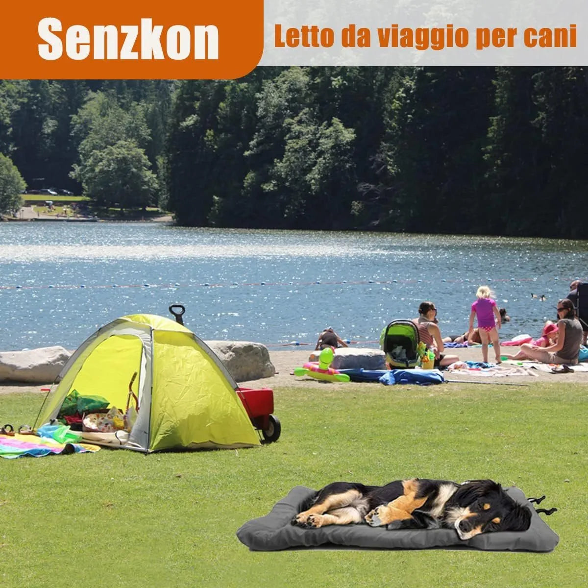 Blue foldable waterproof dog bed shown unfolded and folded, with nylon buckles and dotted anti-slip bottom.