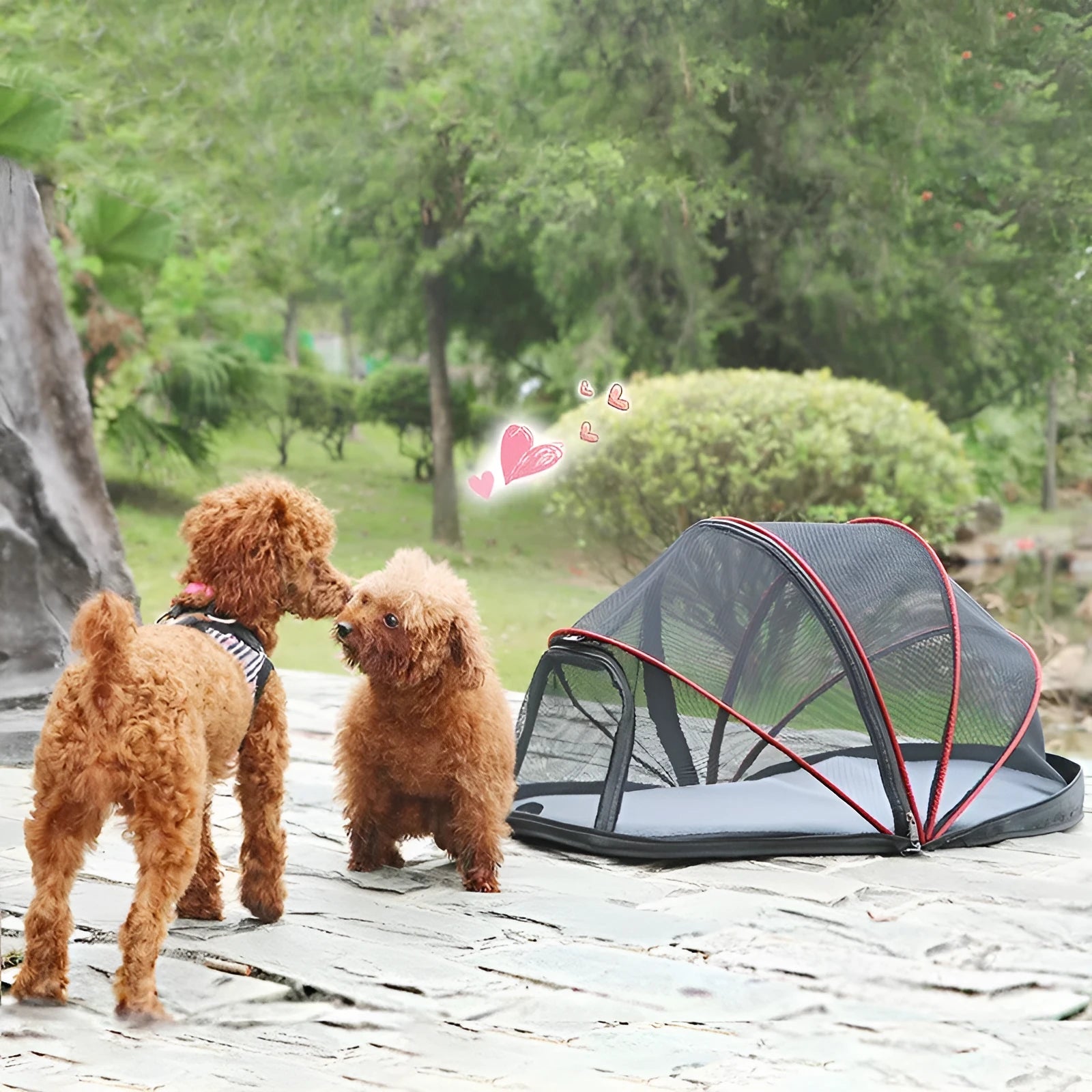 Folding pet tent with half mesh panels shown in blue colour option for cat travel and camping