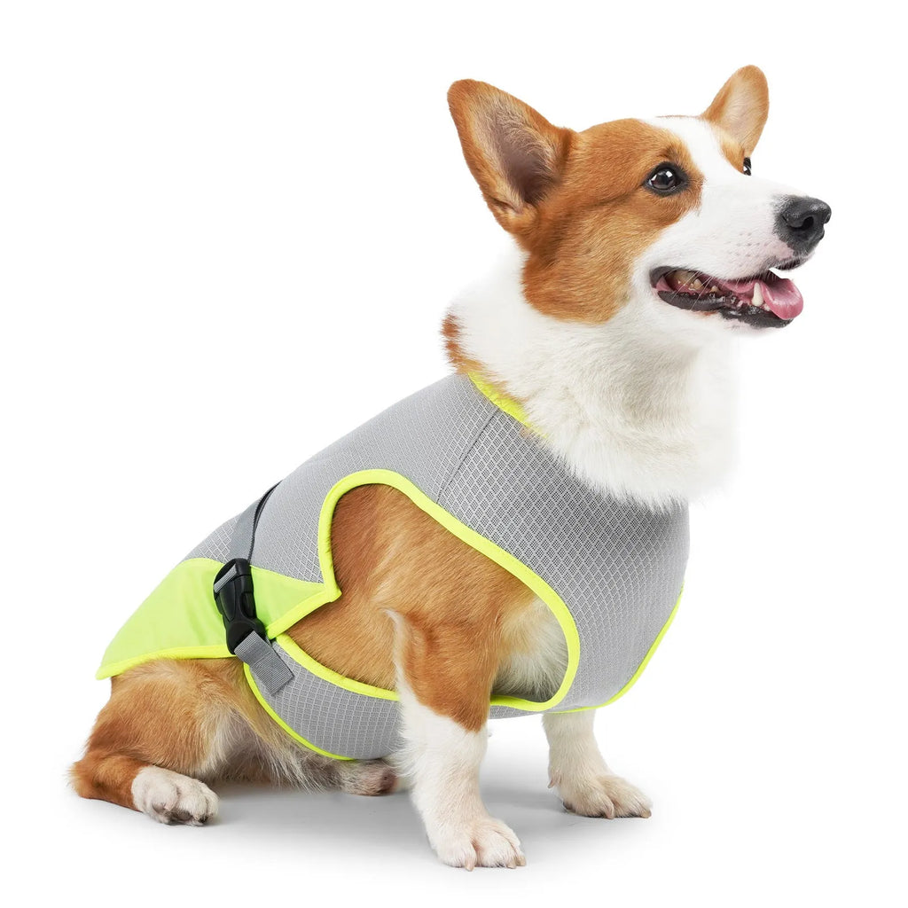 Light grey polyester dog cooling vest on a model dog showing chest and back fit.