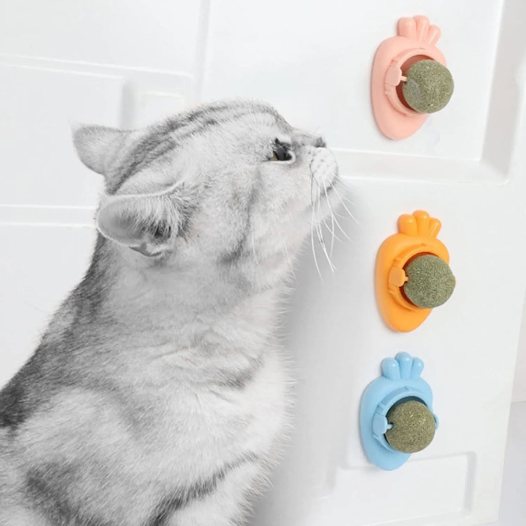Blue carrot-shaped catnip toy with self-adhesive sticker for wall mounting and cat dental cleaning