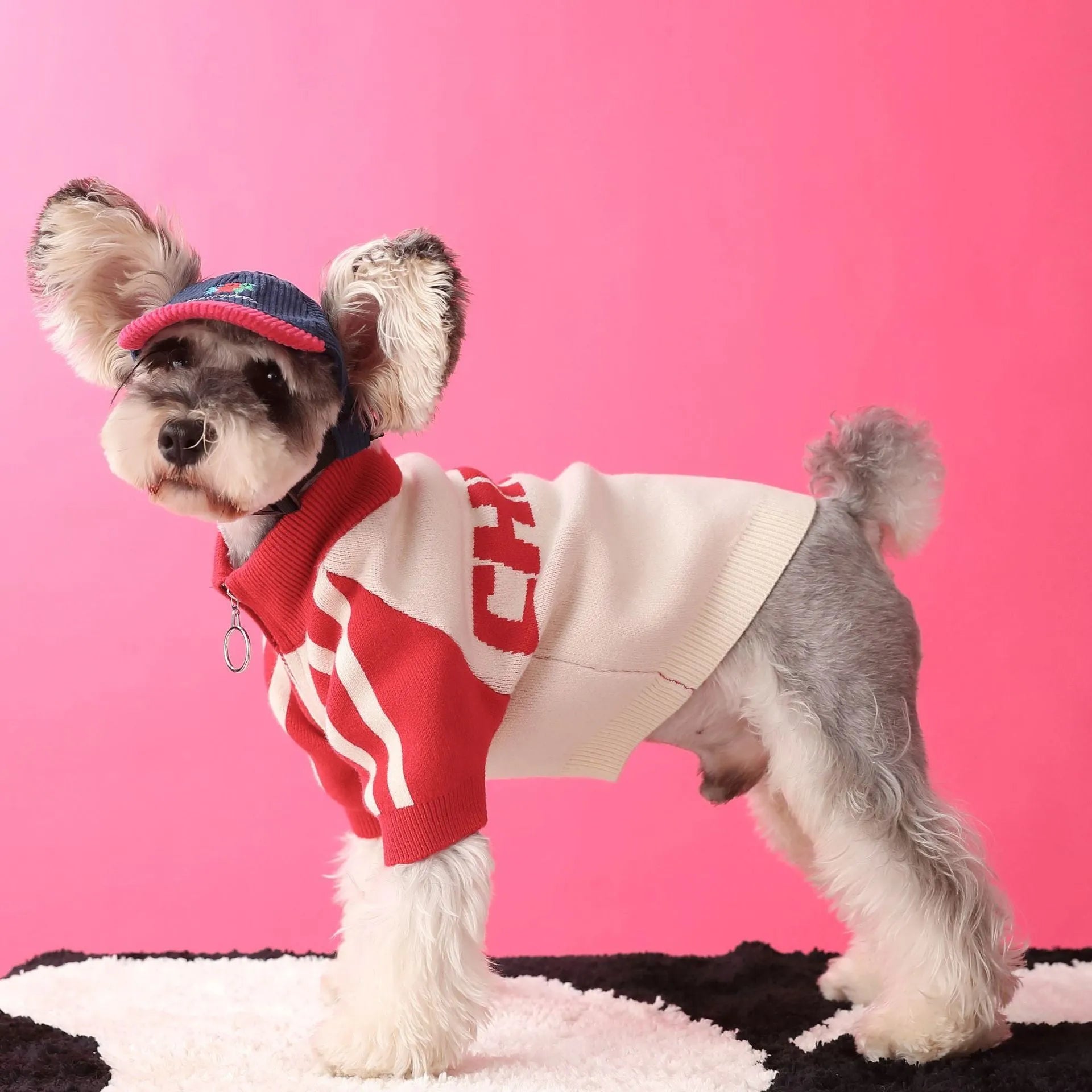 Red wool sports cardigan sweater for dogs on a pet mannequin showing casual pet clothing design