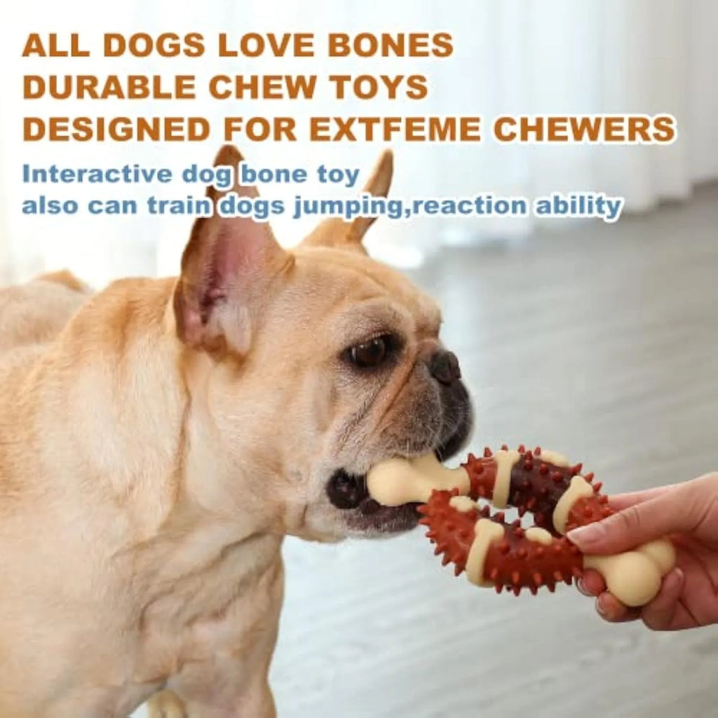 Bone-shaped natural rubber dog molar chew toy for teeth grinding and anxiety relief in two size options