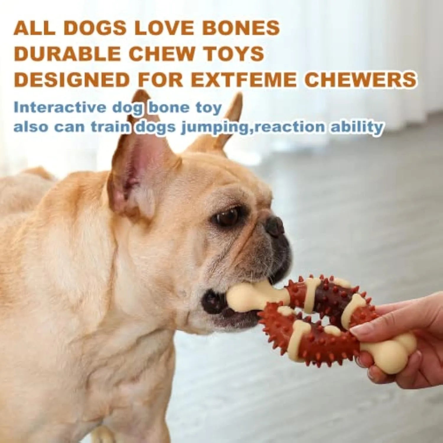 Bone-shaped natural rubber dog molar chew toy for teeth grinding and anxiety relief in two size options