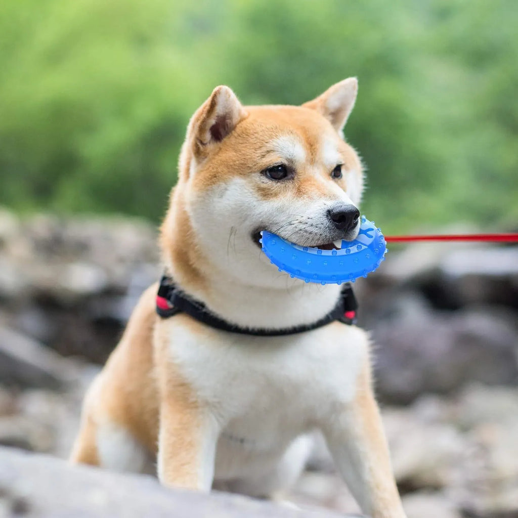 Freezable dog chew toy in bone and circle shapes for cooling and teething relief.