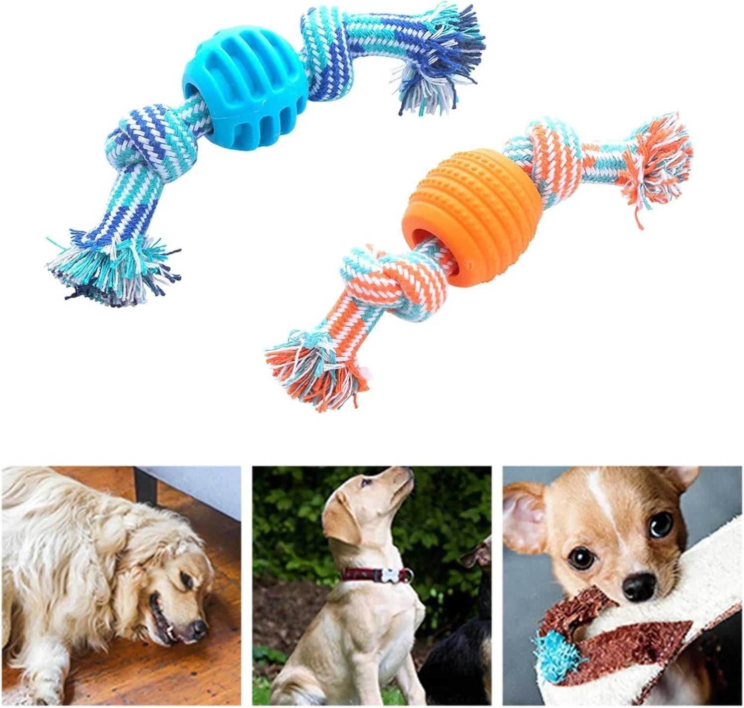Blue silicone molar-ball dog chew toy with white rope ends on a wooden floor.