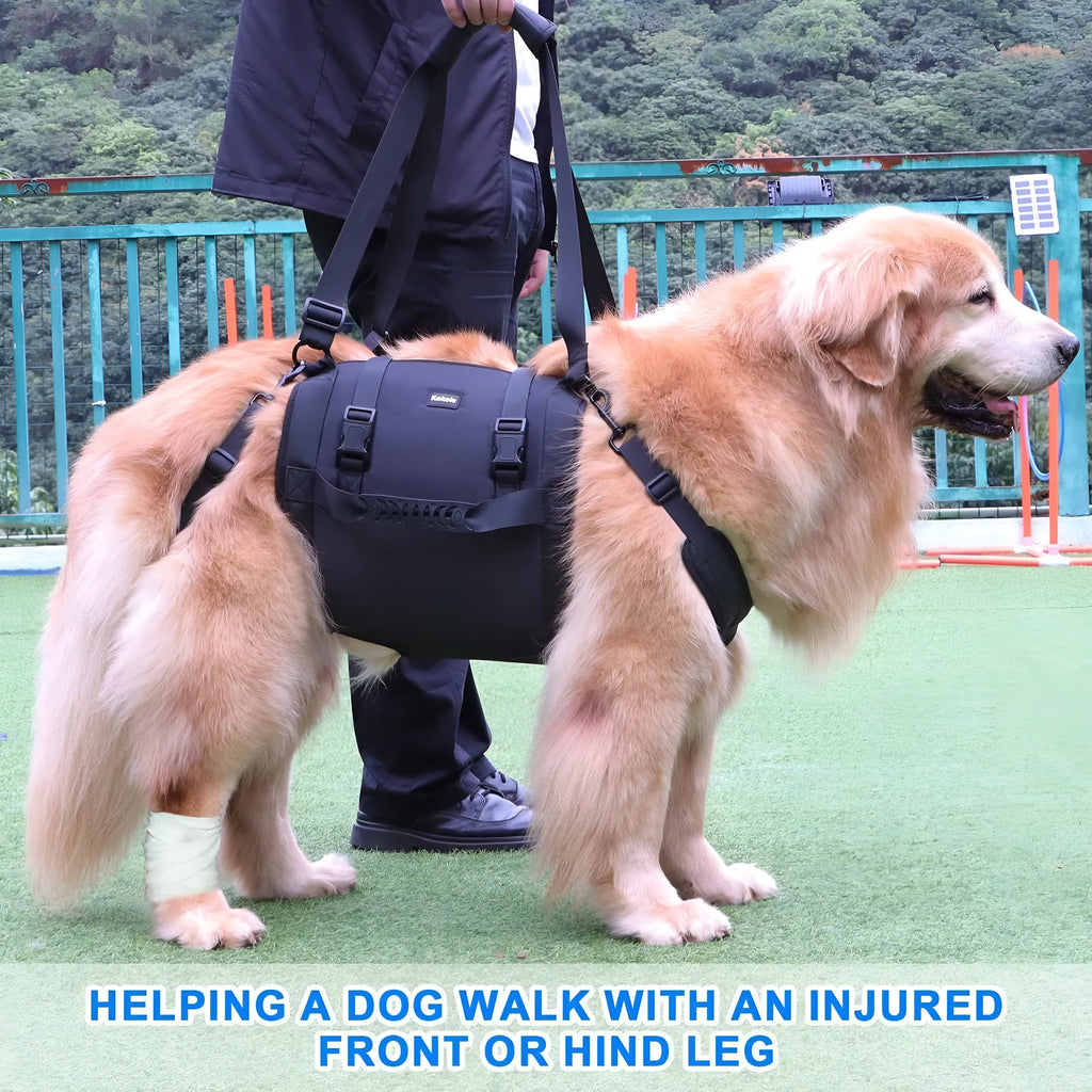 Black adjustable dog harness with leg straps made from Oxford cloth, shown on size chart L, M, XL, XXL.