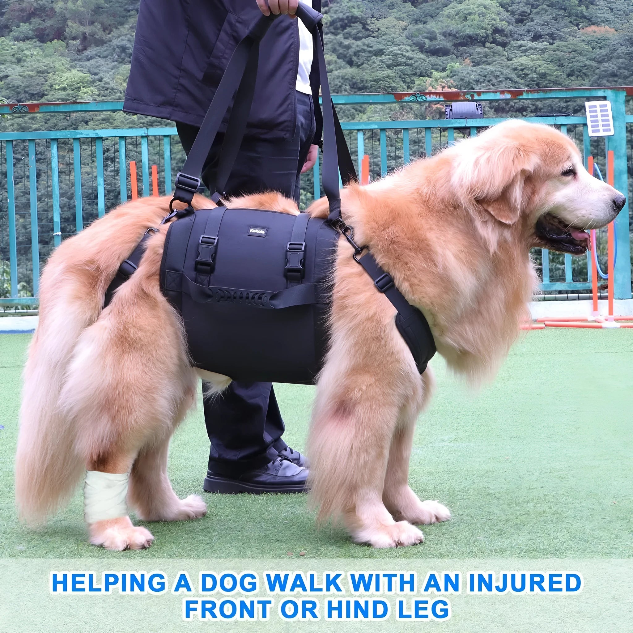 Black adjustable dog harness with leg straps made from Oxford cloth, shown on size chart L, M, XL, XXL.