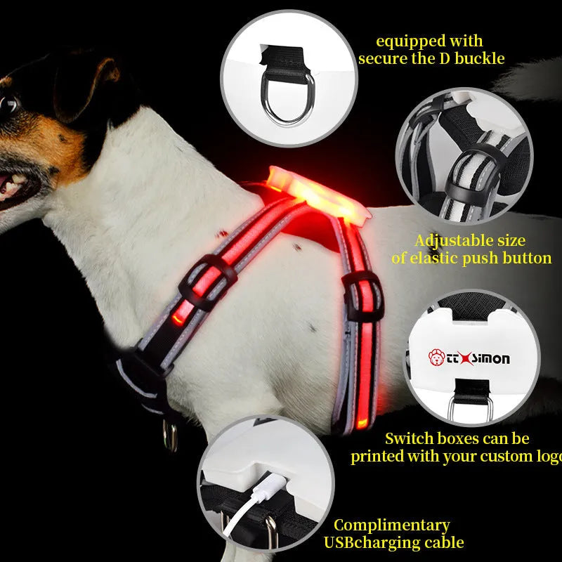 Seven-colour luminous nylon dog lead with USB charging cable for small to large breeds
